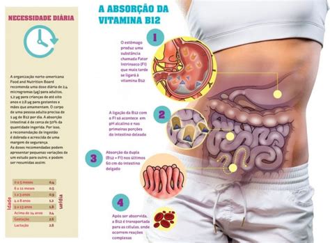 Qual A Funcao Da Vitamina B12 - Vitamina B12: Benefícios e Alimentos que a Contém | Saúde – Blog OPAS