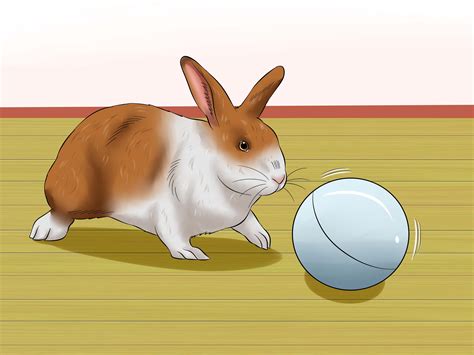 How to Stop a Rabbit from Sneezing: 11 Steps (with Pictures)