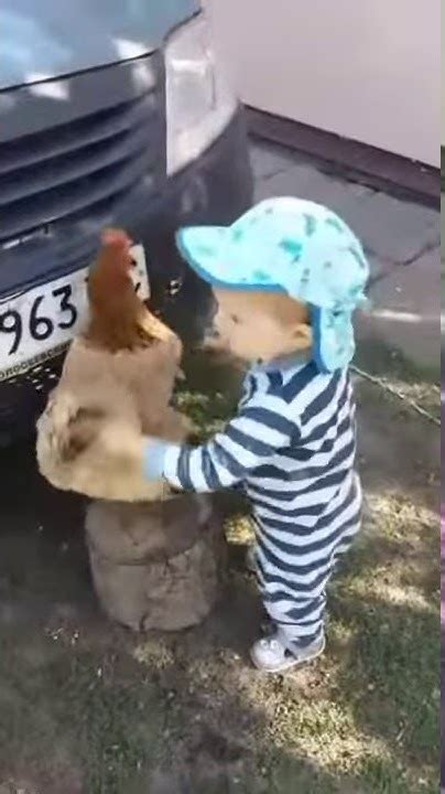Девочка и курочка. The girl and the chicken. Massage. children and ...