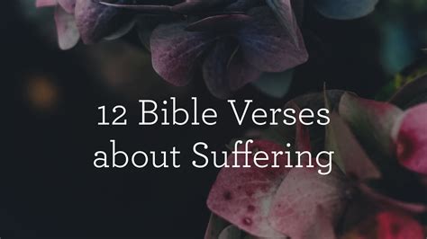 12 Bible Verses About Suffering