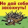 BIERKISTE ЯЩИК ИЗ ПОД ПИВА. №7 — DRIVE2