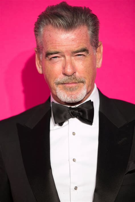 Pierce Brosnan Profile Images — The Movie Database Tmdb