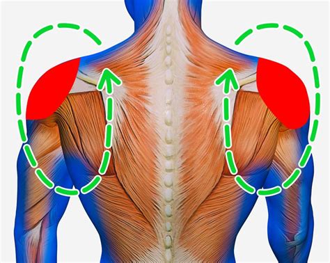 11 động tác giãn cơ làm giảm đau vai gáy tức thì