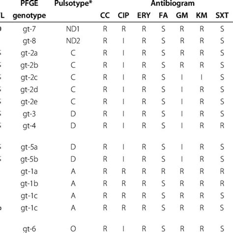 Characteristics Of 16 Ca And Ha Mrsa And Their Clinical Association