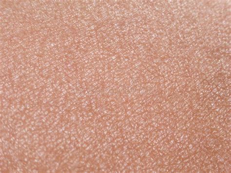 Tan Lines Naked Breasts Stock Photos Free Royalty Free Stock Photos From Dreamstime