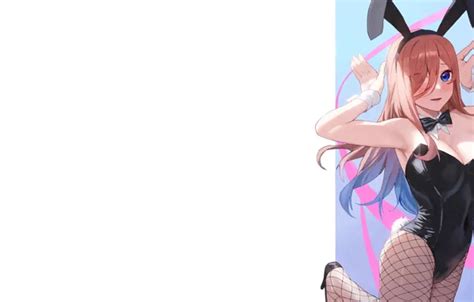 Wallpaper Kawaii Girl Hot Sexy Boobs Anime Babe Bunny For Mobile And Desktop Section