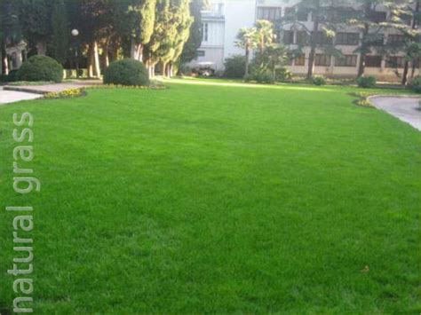 Фотогалерея