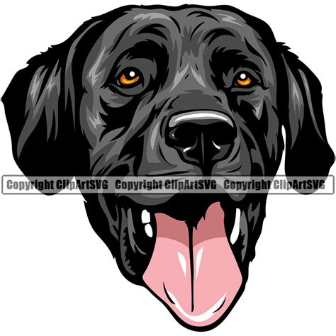 Black Lab Clipart Discounts Buy Tratenores