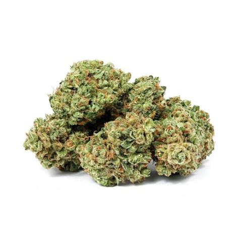 Apple Fritter Weedpedia Coupons And Reviews