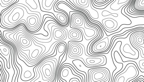 Fond De Carte Topographique Carte De Contour Géographique Vectorielle