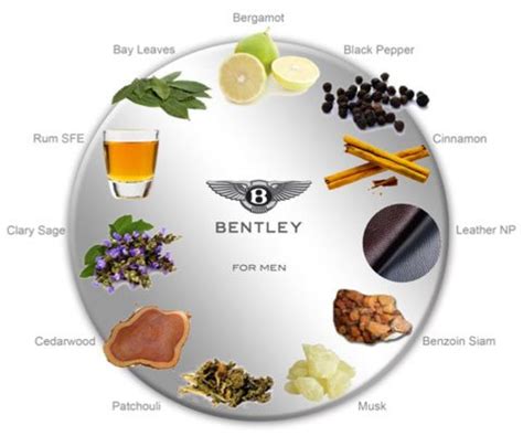 عطر بنتلي و بنتلي إنتنس Bentley & Bentley Intense
