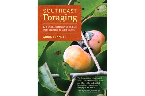 Best Foraging Books 7 Titles Every Forager Needs To Read