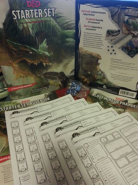 D&D Starter Set Displayed 2