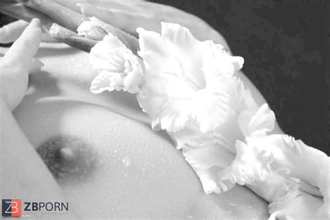 Kamilla Legal Lydia Cheremnykh ZB Porn