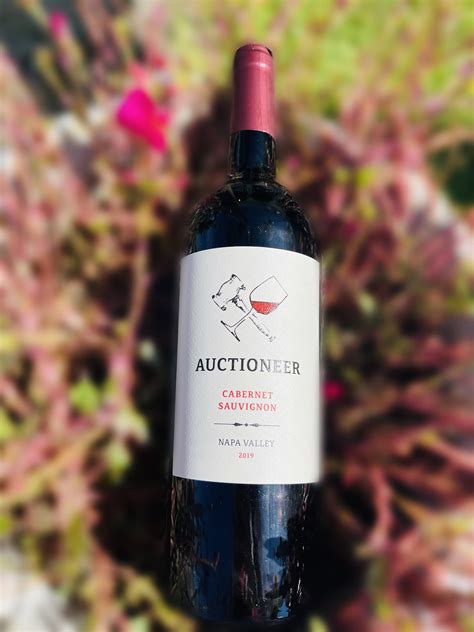 Domus Vini Novecento 23 Rosso Veneto, 2016 — The French Wine Merchant