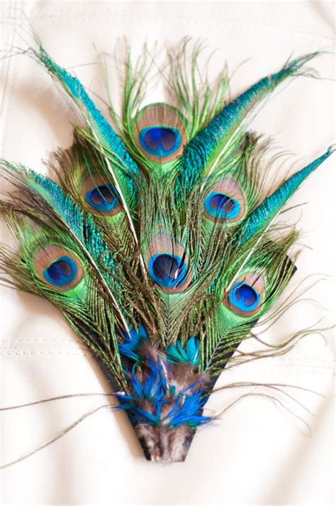 Diy Peacock Halloween Costume My Style Decors Peacock Halloween