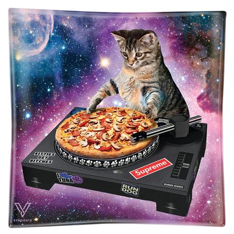 Pussy Vinyl Dj Cat Tempered Glass Ashtray Rolling Papers Supplies GoSensi