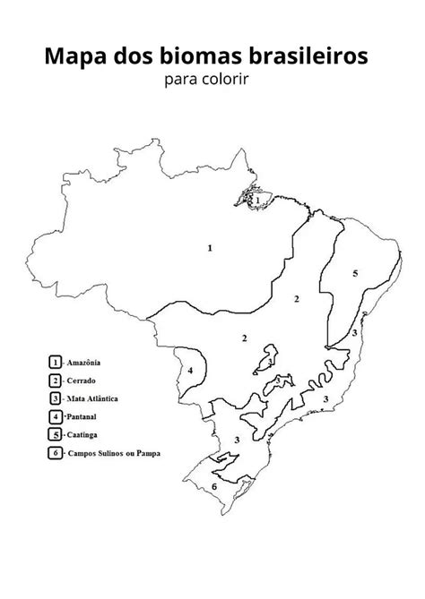 Mapas Biomas Da Terra Para Colorir - Mapa dos biomas brasileiros para colorir | Educlub
