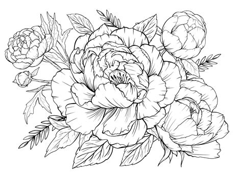 Outline Peonies Wallpaper At Blanche Carter Blog