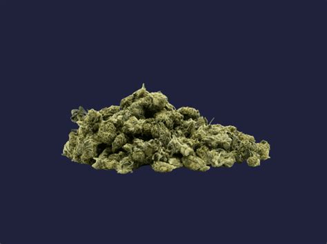 pave runtz strain
