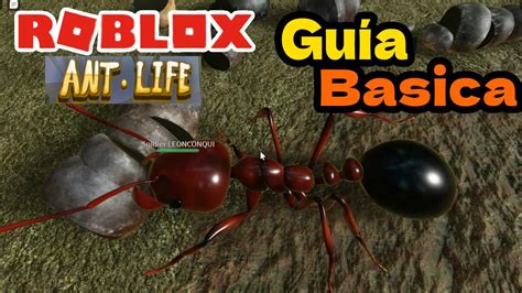 GUÍA Básica para Jugar ANT LIFE ROBLOX beta testing Cómo Jugar