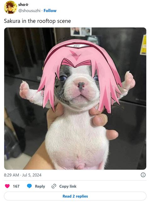 Stop Fighting Dog Meme: The Enduring Appeal Of T-Pose Puppy