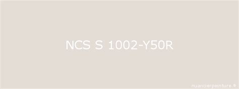 S 1002 Y50r Ncs Color S 1002 Y50r