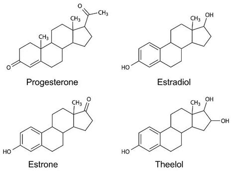 140 Lipid Metabolism Stock Illustrations Royalty Free Vector Graphics