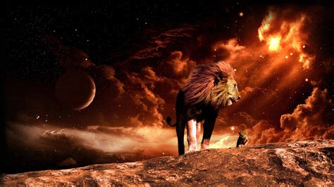 Angry Lion Wallpaper HD 76050 - Baltana