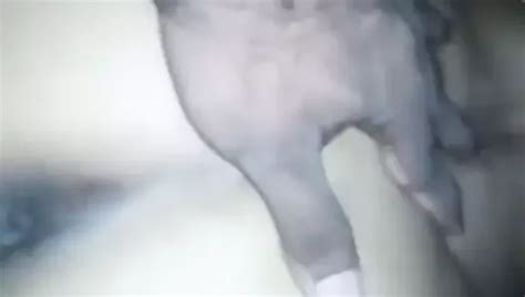 Mature Porn Videos 5811 XHamster