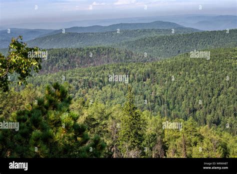 The siberian taiga -Fotos und -Bildmaterial in hoher Auflösung – Alamy