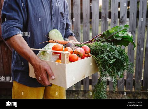 Man Holding Crate Full Of Fresh Vegetable Stock Photo Alamy