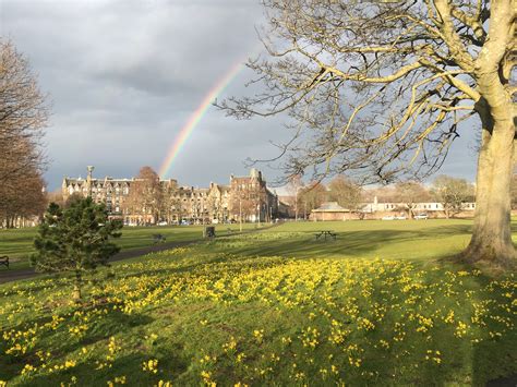links rainbow neilturn