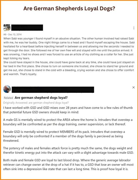 Are German Shepherds Loyal? Stories, Facts & Quotes