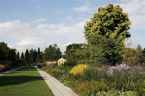 How To Plant a Blooming Herbaceous Border | Hillier