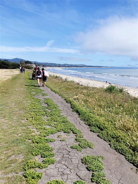 Things To Do In Half Moon Bay The Ultimate Weekend Guide