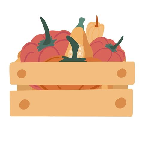 Vegetales En Una Caja De Madera Cosecha De Calabaza Dise O Plano De