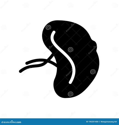 Spleen Flat Line Icon Vector Outline Illustration Of Human Anatomy