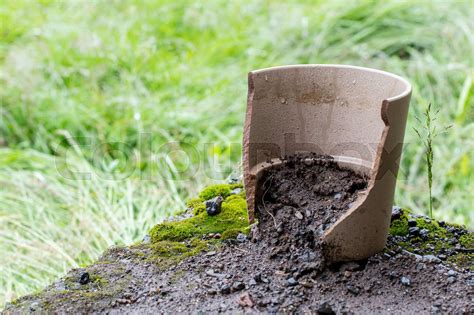 Broken Flower Pot Stock Image Colourbox
