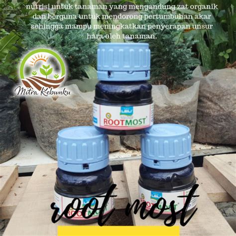 Jual ROOT MOST 100ml Rootmost Hormon Pertumbuhan Akar Stek Jakarta