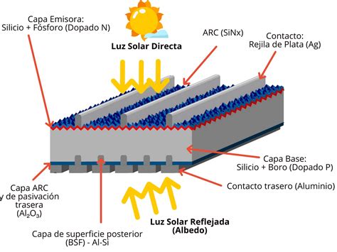 Tecnolog As Fotovoltaicas Utilizadas En Paneles Solares Sunfields