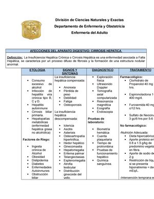 Plan de Alta TCE Traumatismo Craneoencefálico Plan de Alta Cuidado de