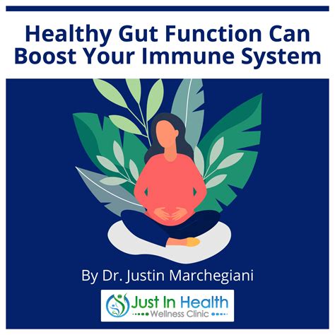 Healthy Gut Function Can Boost Your Immune System Austin Texas