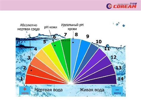 БУТЫЛКА ДЛЯ ОЩЕЛАЧИВАНИЯ ВОДЫ Кислотно-щелочное равновесие баланс