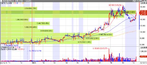 10월 16일 수급 주도주 분석