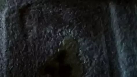 Pissing On My Bedroom Carpet Free Gay Pissed On Porn E XHamster