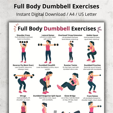 Full Body Dumbbell Workout Chart – Home Dumbbell Exercises, Printable
