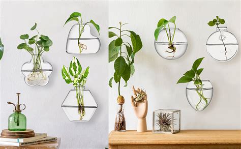 Yarlung Set Of 6 Glass Planters Wall Hanging Terrarium Clear Plants Vase Wall Mount For