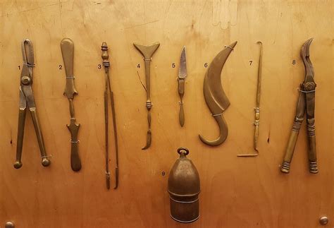 The Hippocratic Ideal: Health Care Practices in Ancient Greece