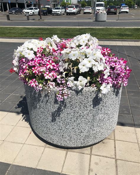 БЕТОННЫЕ УЛИЧНЫЕ ВАЗОНЫ ДЛЯ ЦВЕТОВ🌺 in 2024 | Plants, Garden, Kabul